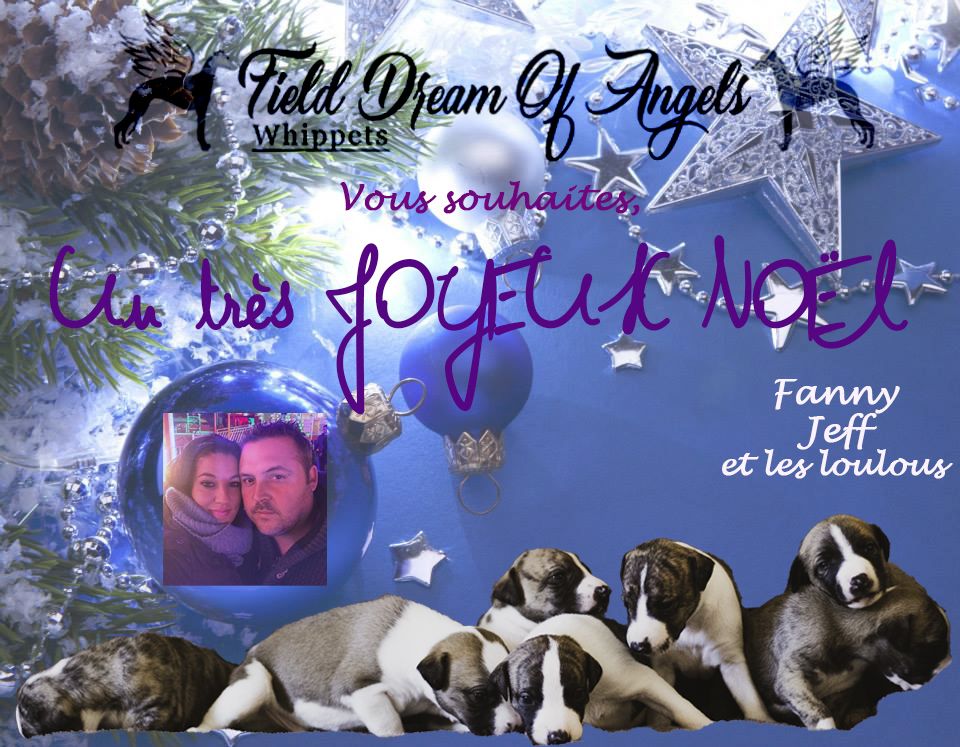Field Dream Of Angels - Joyeux Noël
