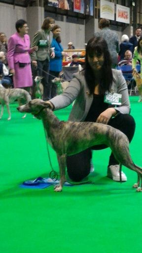 CRUFTS